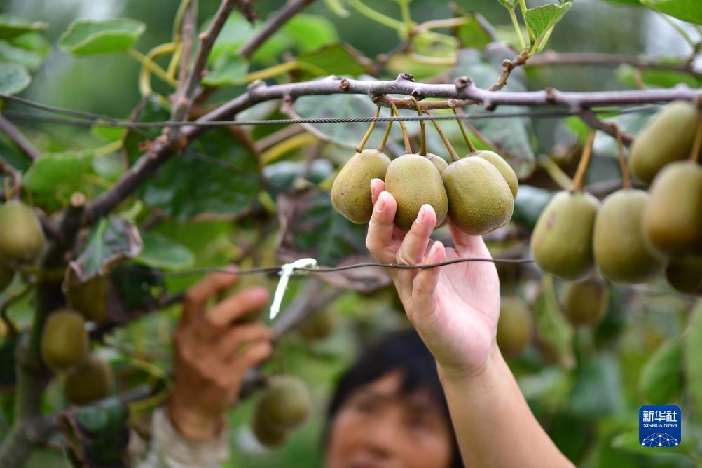 奔驰宝马电玩城下载