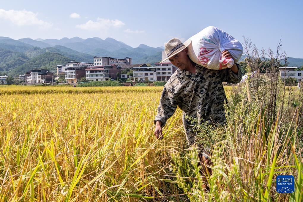 大豪客开奖登录